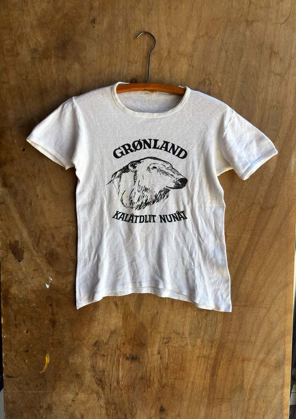 Rare true Vintage 50s 60s Grønland Kalâtdlit Nunât norway Polar Bear Graphic T-S